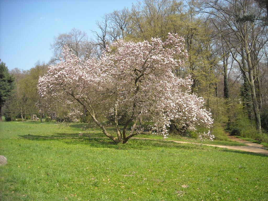 Schloss Eckberg Hotel